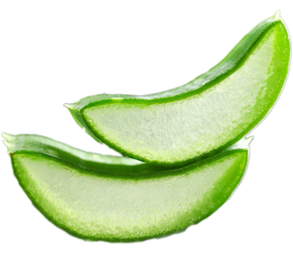 Aloe Vera image Aloe Vera image