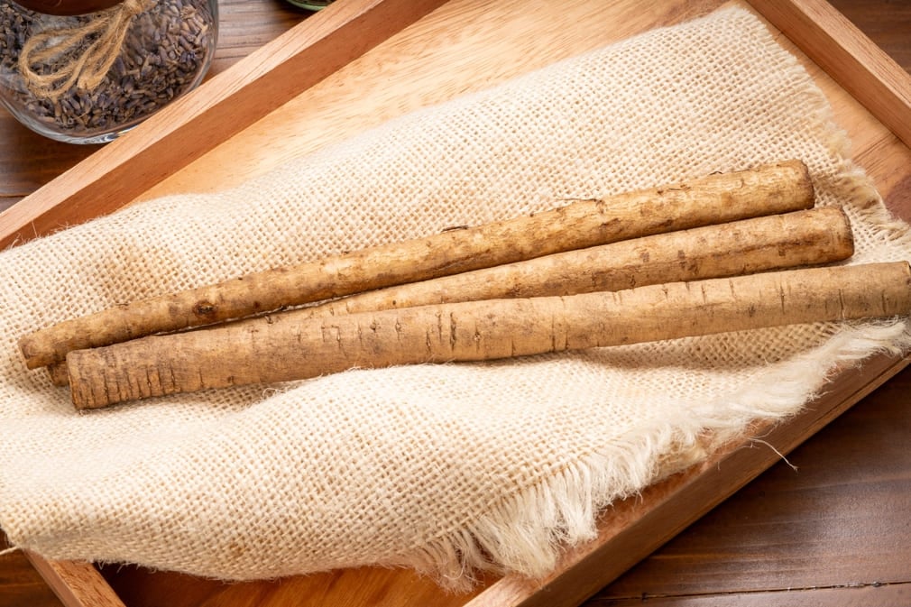 Rễ cây ngưu bàng (burdock root) là bộ phận quý giá và được ứng dụng nhiều nhất trong y học - mỹ phẩm.